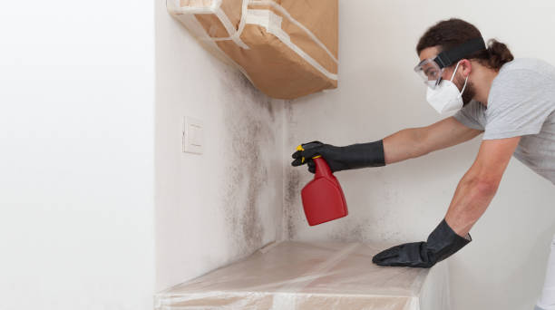 Professional Bathroom Mold Removal technician working in Boxborough, MA